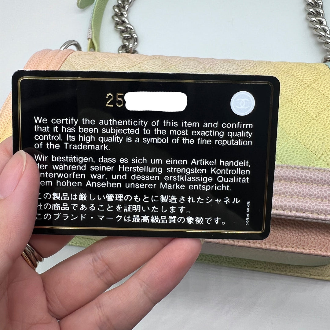 Chanel Rainbow Boy Medium in Caviar Leather and Silver Hardware