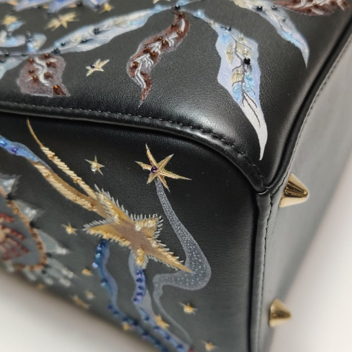 Christian Dior Lady Dior Medium Nature Ballet Star Embroidery Handbag Black Calfskin Gold Hardware