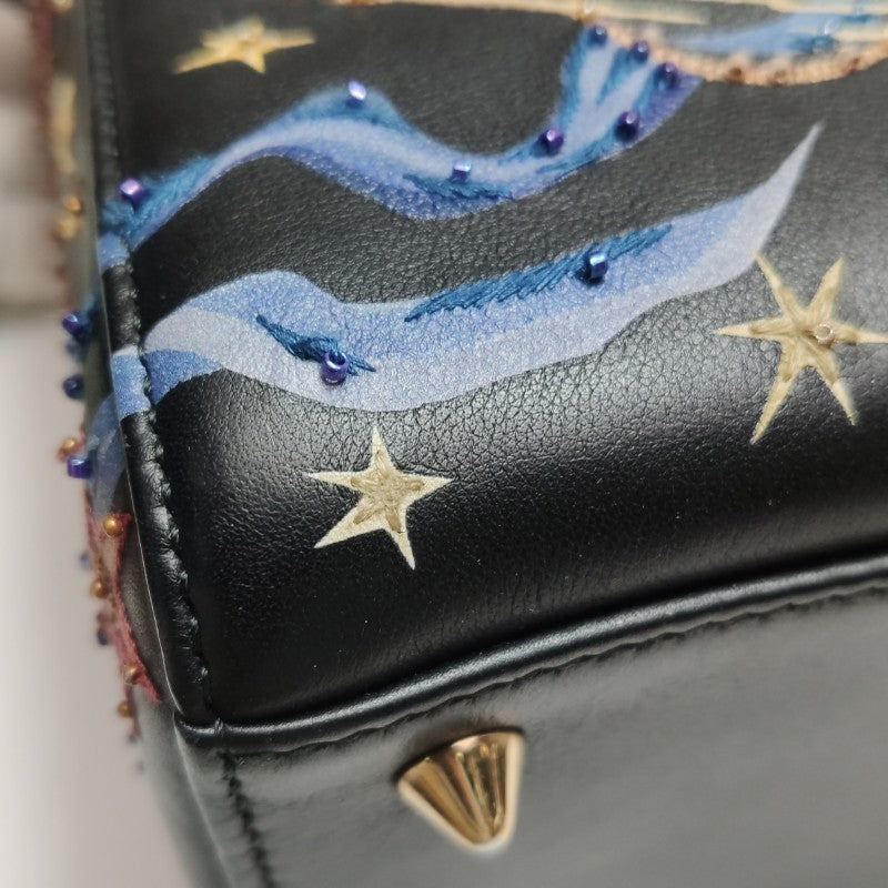Christian Dior Lady Dior Medium Nature Ballet Star Embroidery Handbag Black Calfskin Gold Hardware