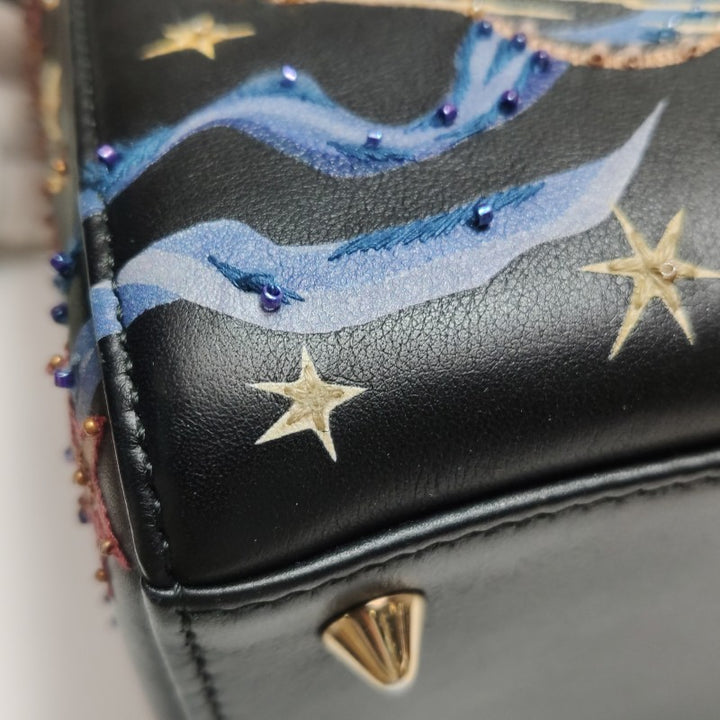 Christian Dior Lady Dior Medium Nature Ballet Star Embroidery Handbag Black Calfskin Gold Hardware