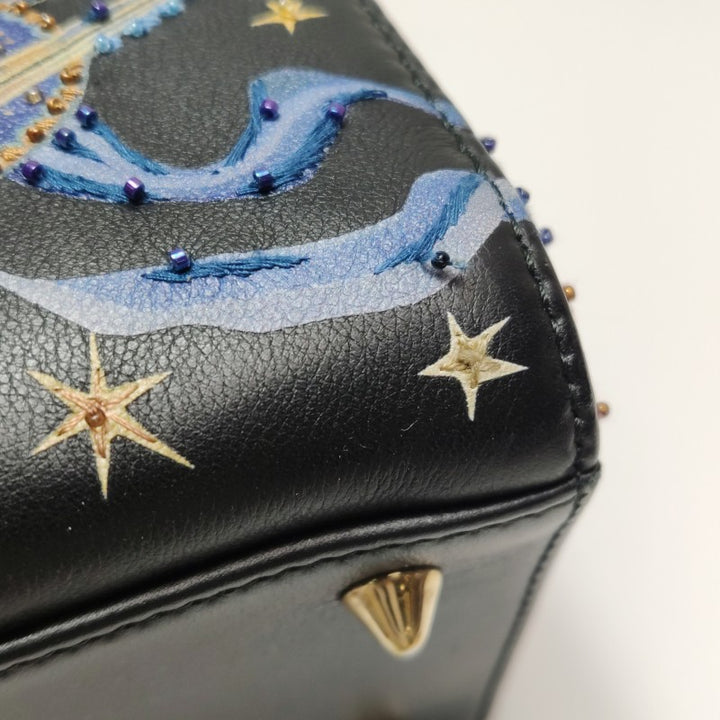 Christian Dior Lady Dior Medium Nature Ballet Star Embroidery Handbag Black Calfskin Gold Hardware