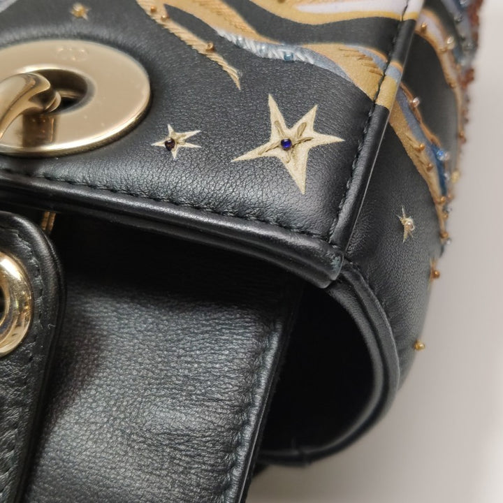 Christian Dior Lady Dior Medium Nature Ballet Star Embroidery Handbag Black Calfskin Gold Hardware