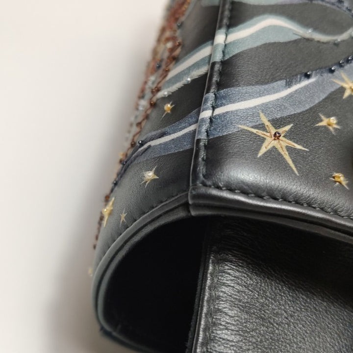 Christian Dior Lady Dior Medium Nature Ballet Star Embroidery Handbag Black Calfskin Gold Hardware