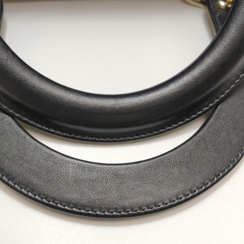 Christian Dior Lady Dior Medium Nature Ballet Star Embroidery Handbag Black Calfskin Gold Hardware
