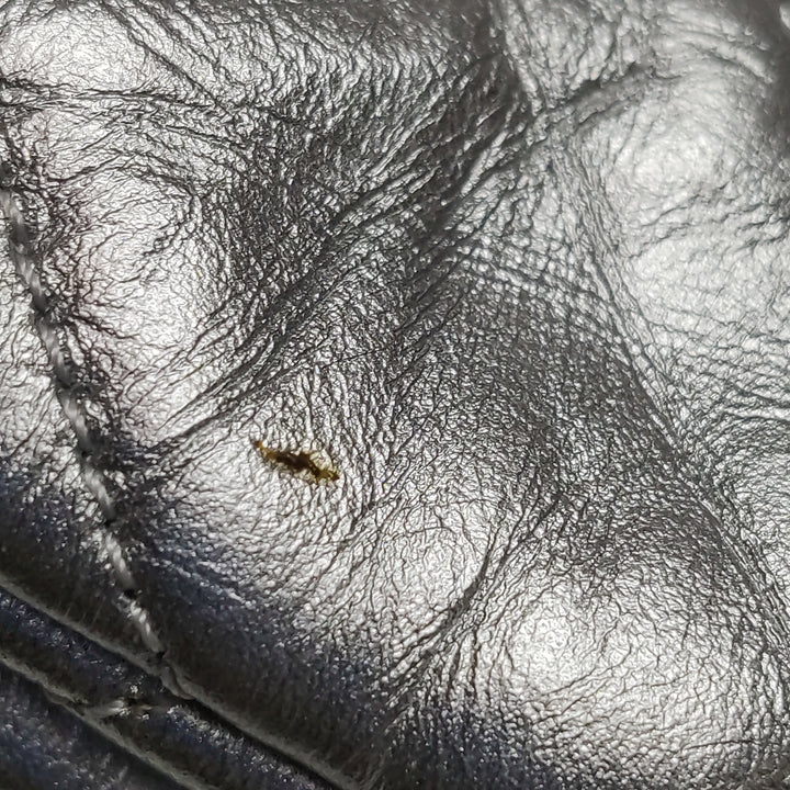 Chanel Big Bang Silver Leather Flap Bag