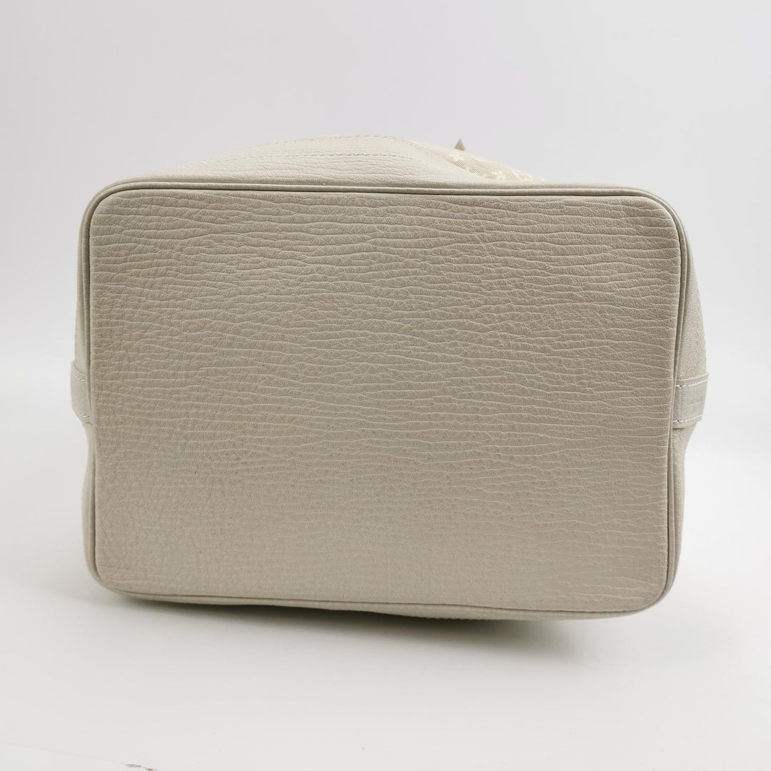 Louis Vuitton Monogram Mini Lin Noe Dune