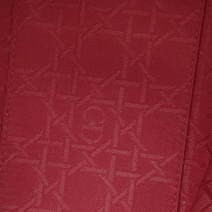 Dior X Namsa Leuba Fur Medium Lady Dior Art Bag
