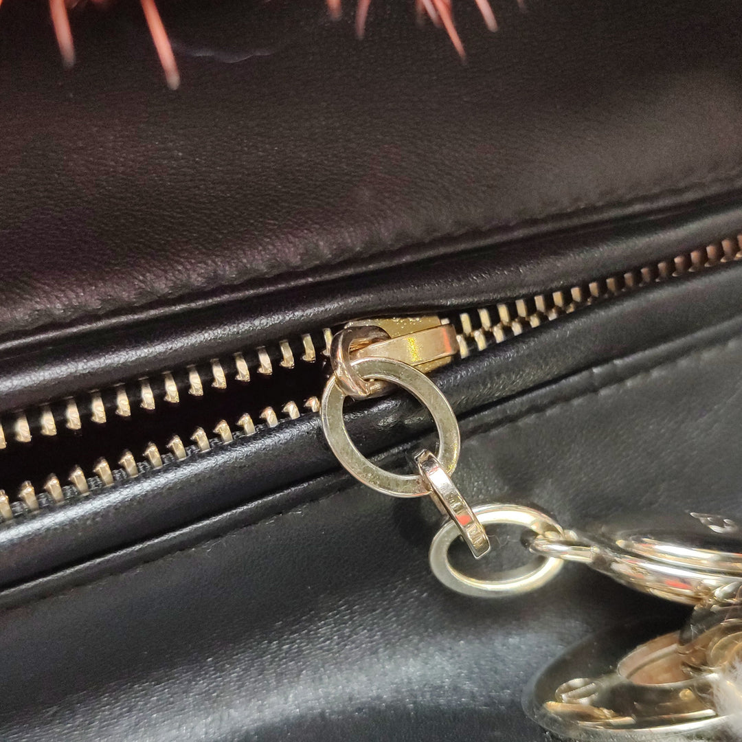 Dior X Namsa Leuba Fur Medium Lady Dior Art Bag