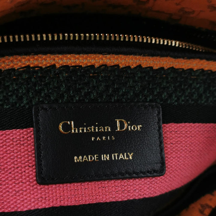 Dior Lady D-Lite Canvas Embroidered Dino Medium Orange