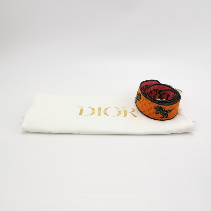 Dior Lady D-Lite Canvas Embroidered Dino Medium Orange