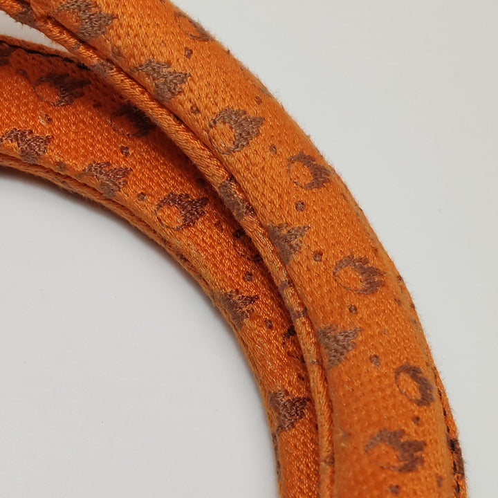 Dior Lady D-Lite Canvas Embroidered Dino Medium Orange