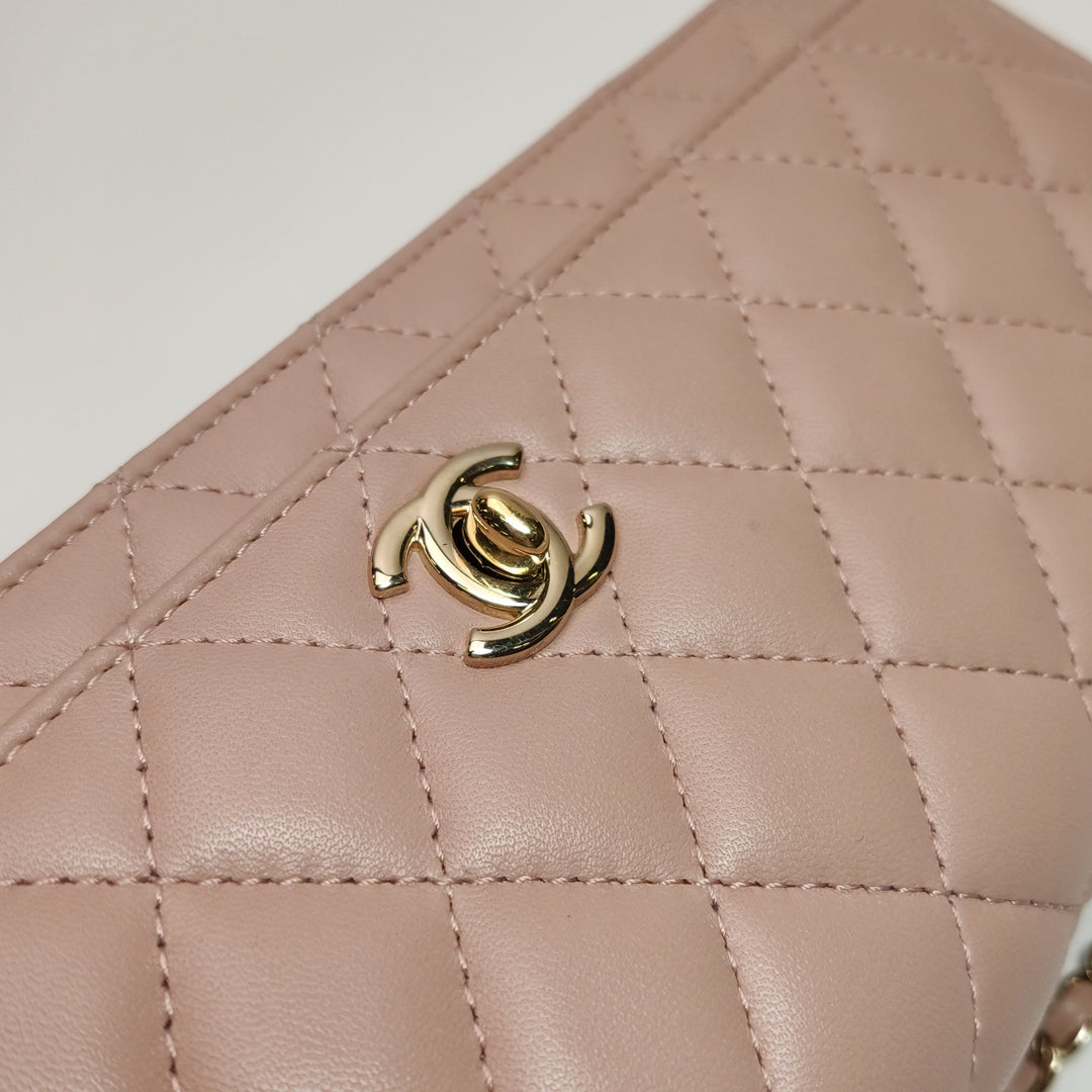 Chanel Fantasy Pearls Evening Flap bag in Pink