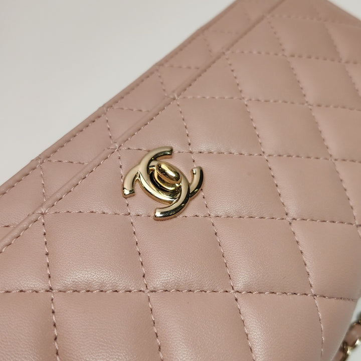 Chanel Fantasy Pearls Evening Flap bag in Pink