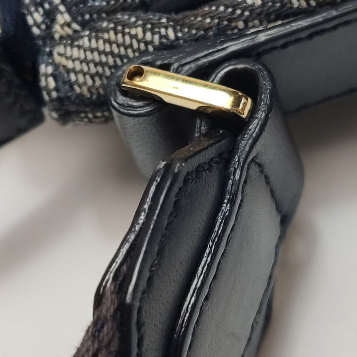 Dior Saddle Trotter Logo Pochette Bag