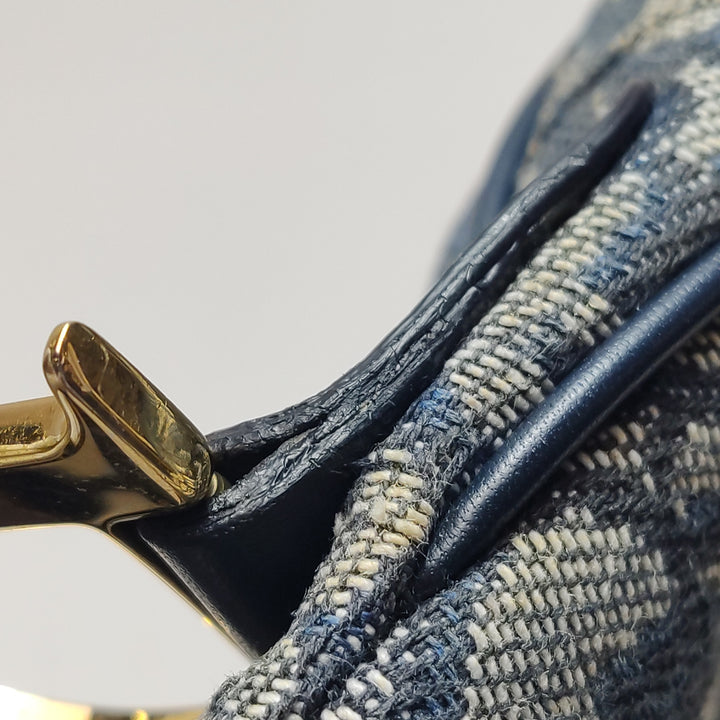 Dior Saddle Trotter Logo Pochette Bag