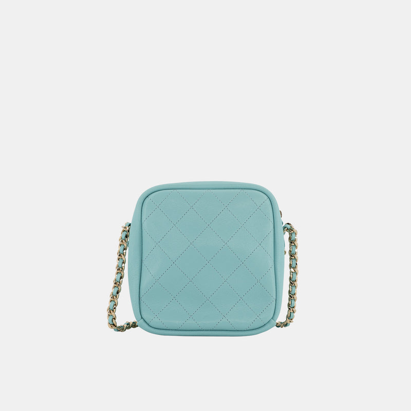 Chanel Casual Trip North South Camera Case In Blue