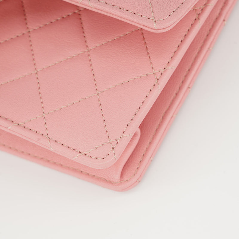 Chanel Pearl Pink Chain Flap Bag