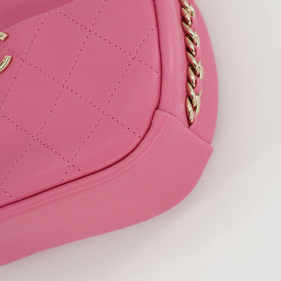 Chanel Casual Trip Camera Case Bag In Pink