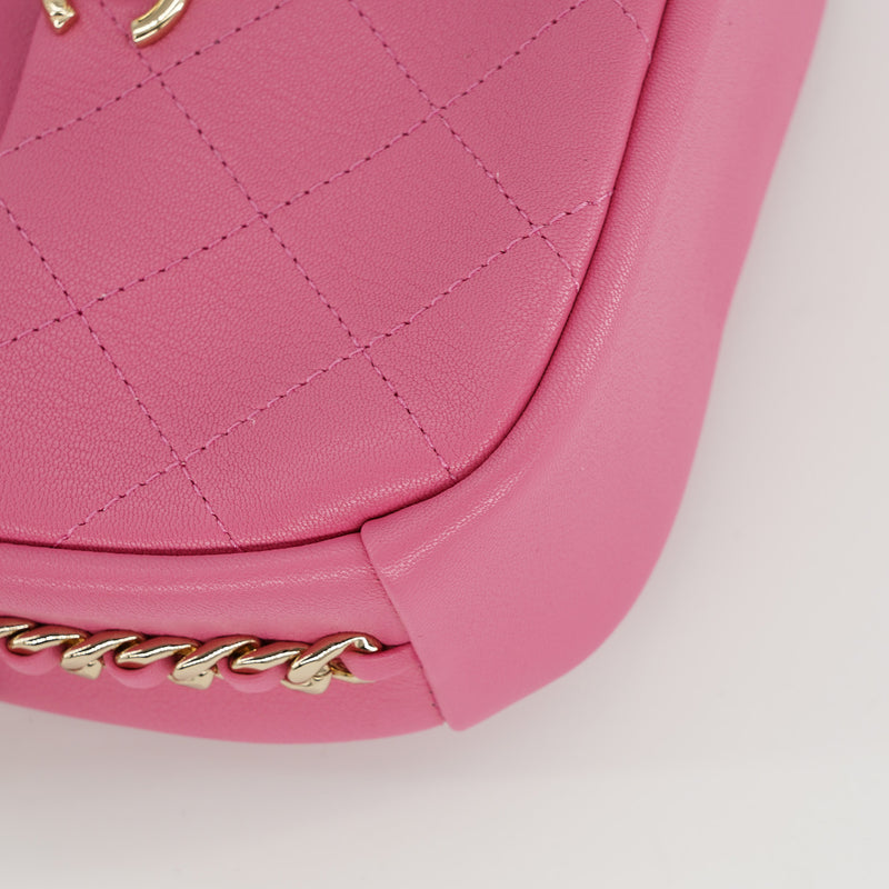 Chanel Casual Trip Camera Case Bag In Pink