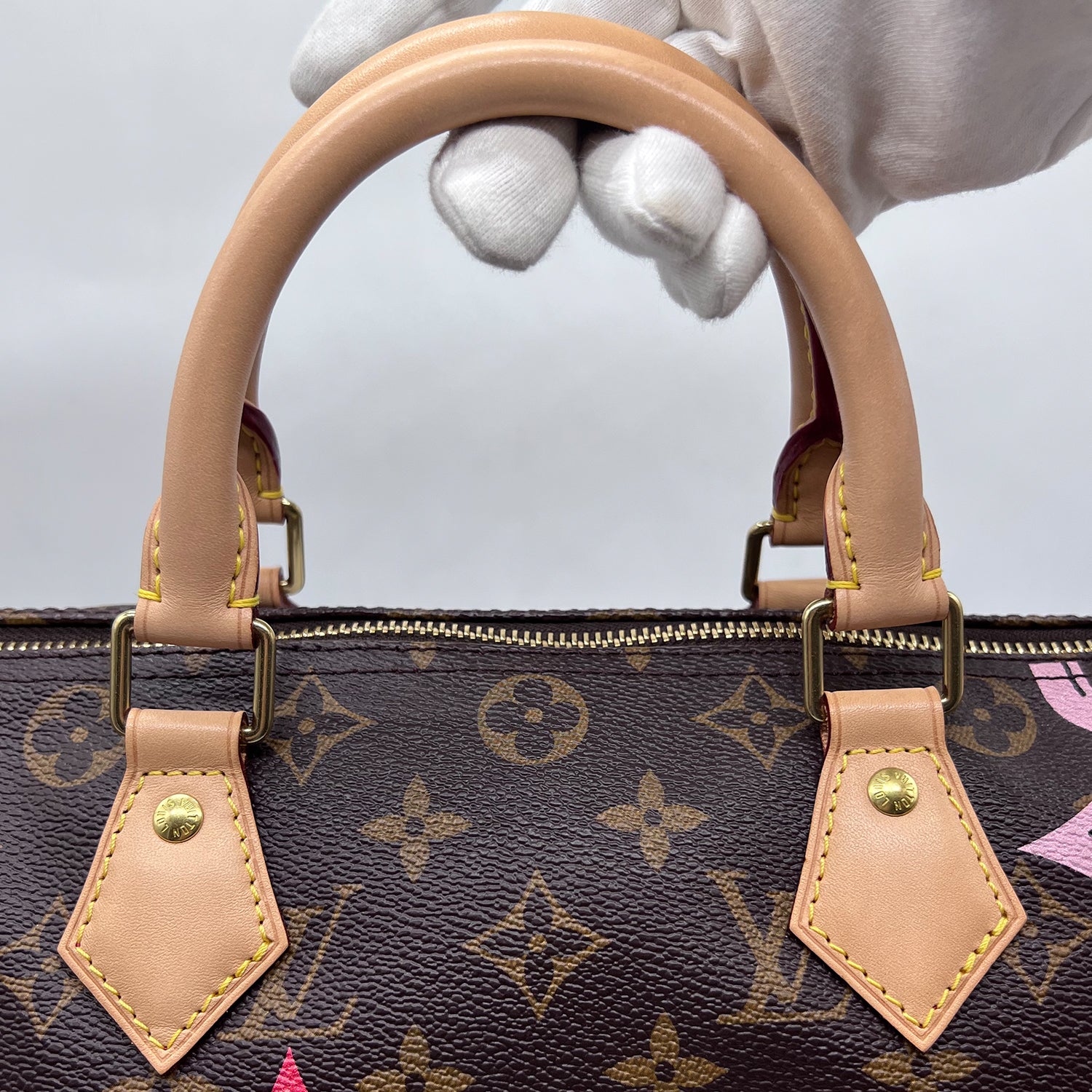 ❌❌SOLD OUT❌❌Louis Vuitton Speedy 30 Cherry HandBag(LIMITED EDITION)