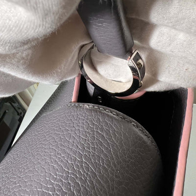 Louis Vuitton Grey Capucines MM Leather Bag