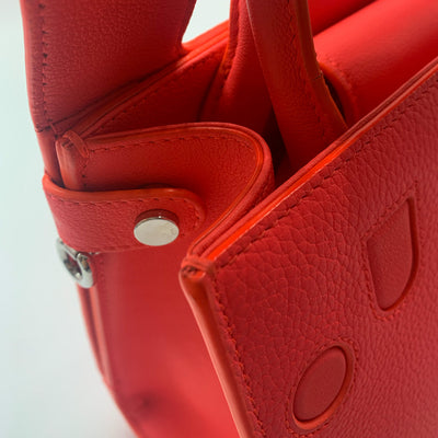 Dior Neo Red Calfskin Mini Diorever Tote