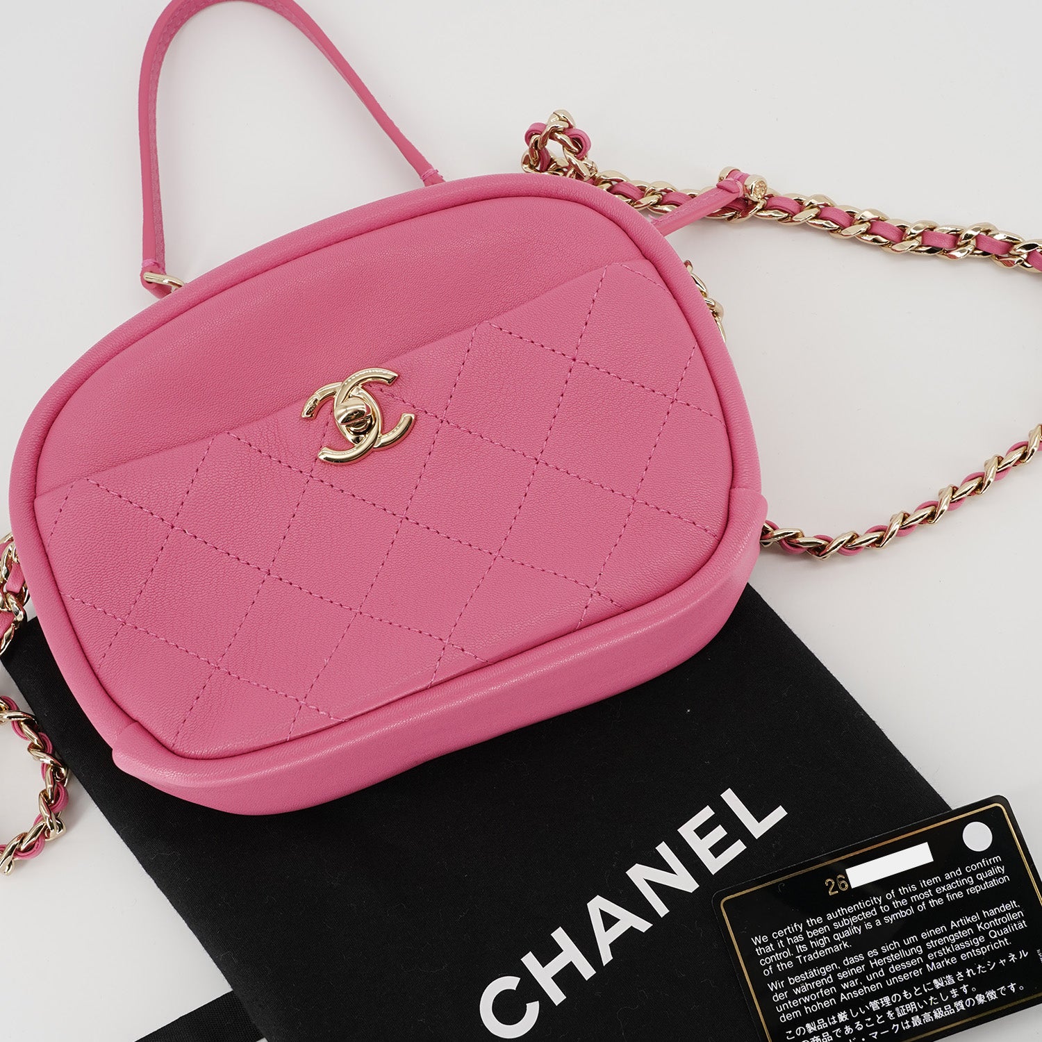 Chanel casual trip 2025 medium camera case bag