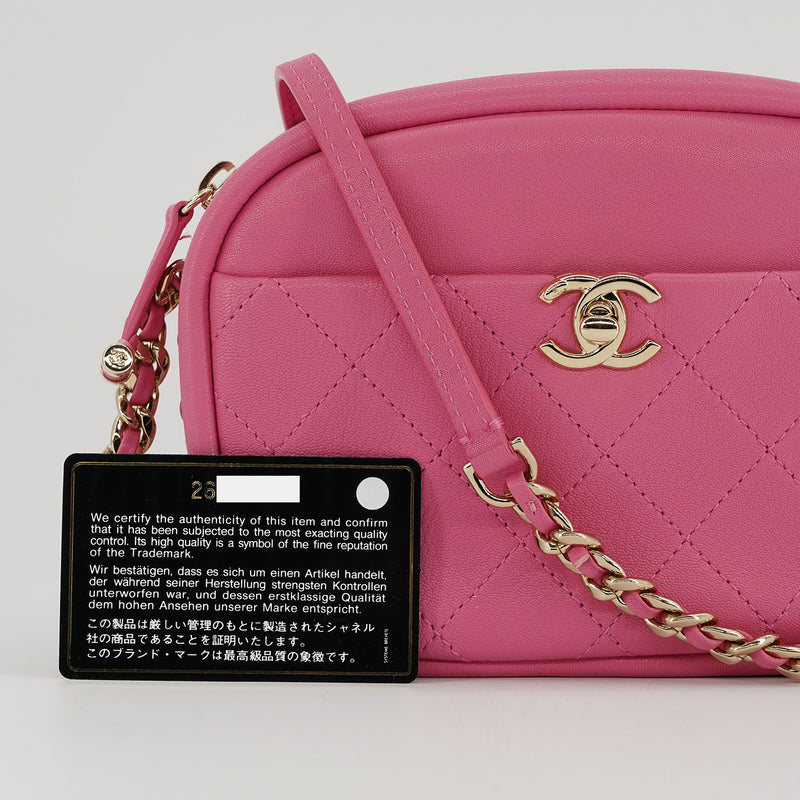 Chanel Casual Trip Camera Case Bag In Pink